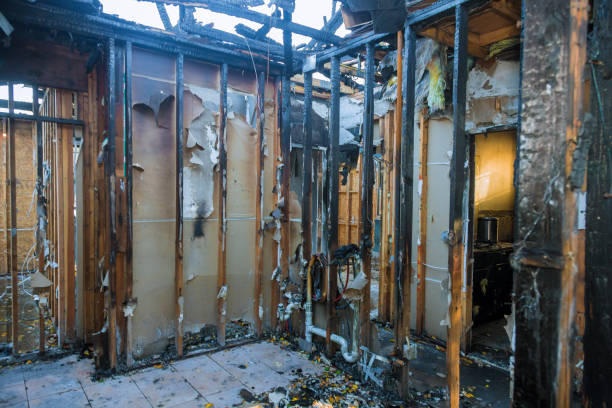 Professional Structural Rebuild technician working in Preston, TX